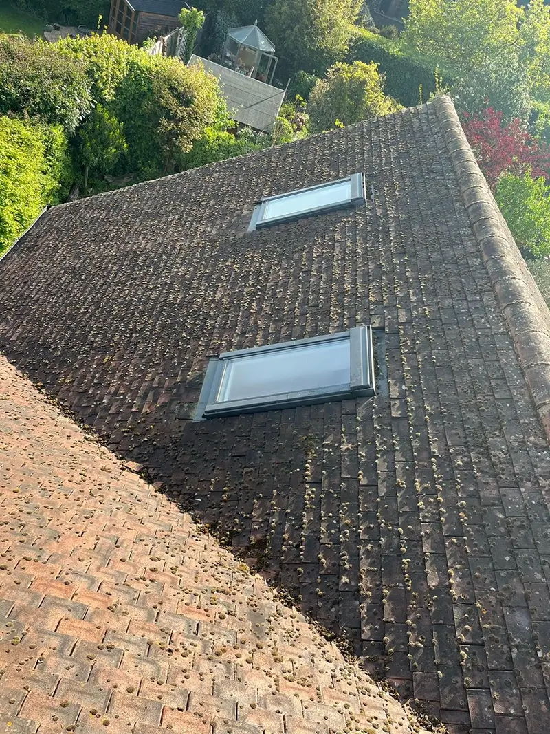 A roof in Kent before having its moss removed professionally by our team