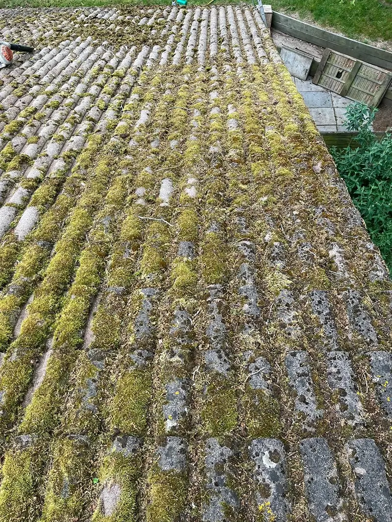 A roof in Kent before having its moss removed professionally by our team