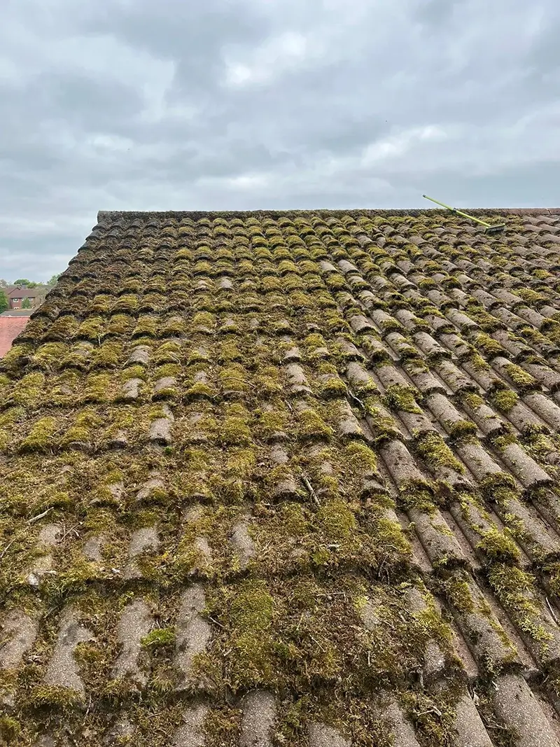 A roof in Kent before having its moss removed professionally by our team