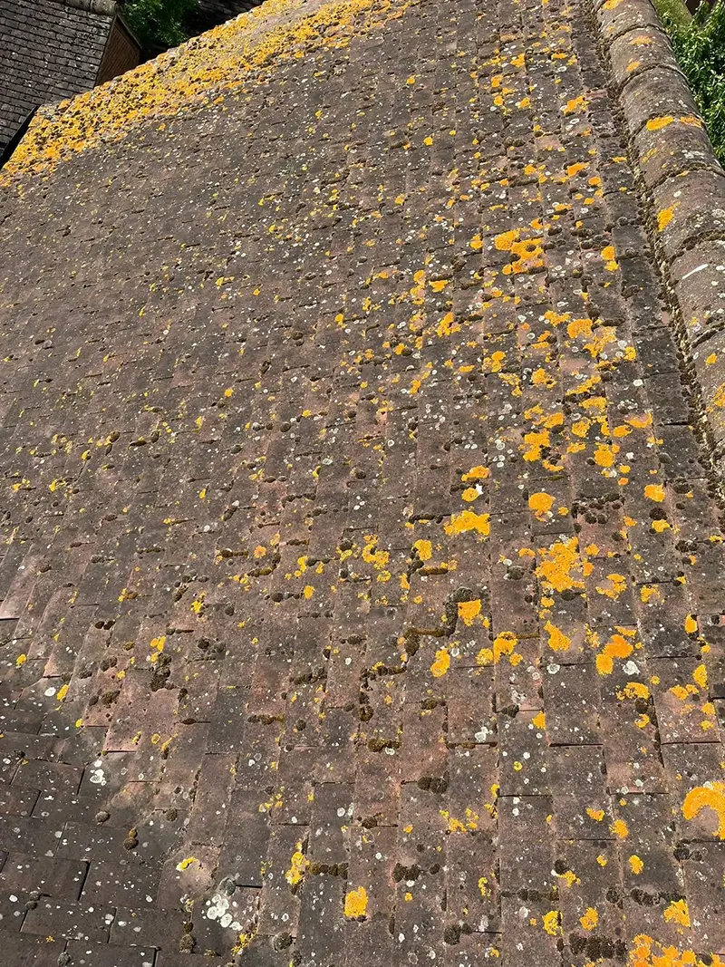 A roof in Kent before having its moss removed professionally by our team