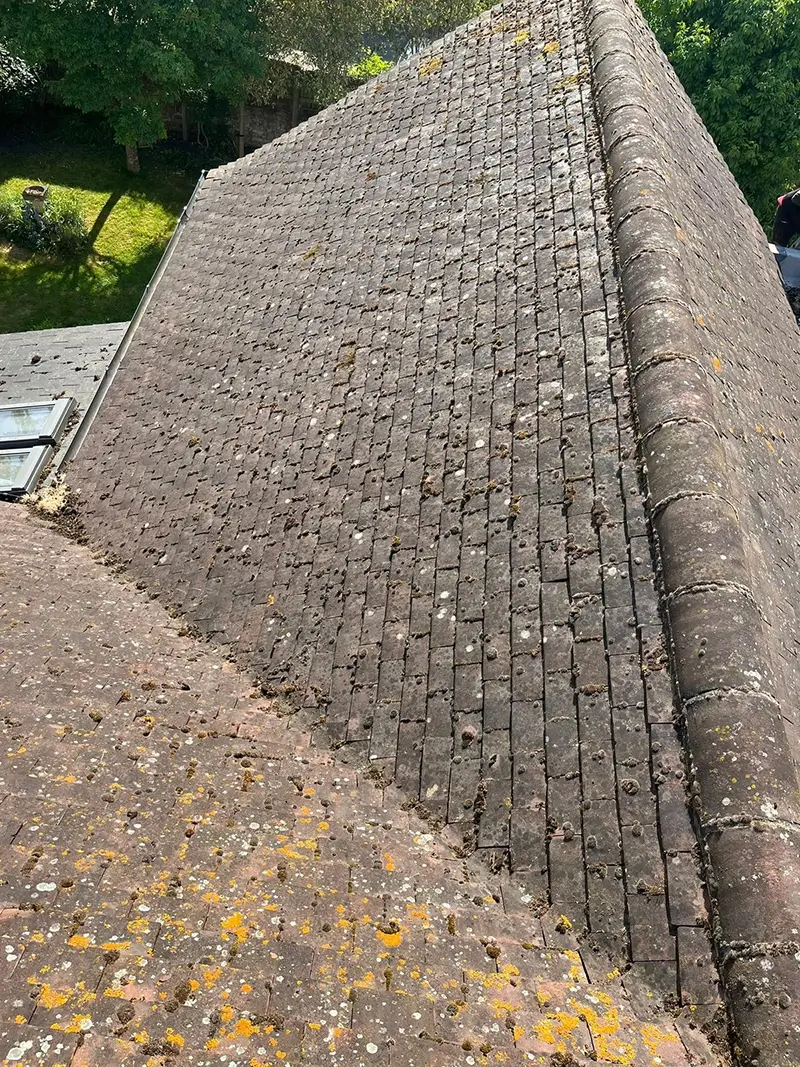 A roof in Kent before having its moss removed professionally by our team